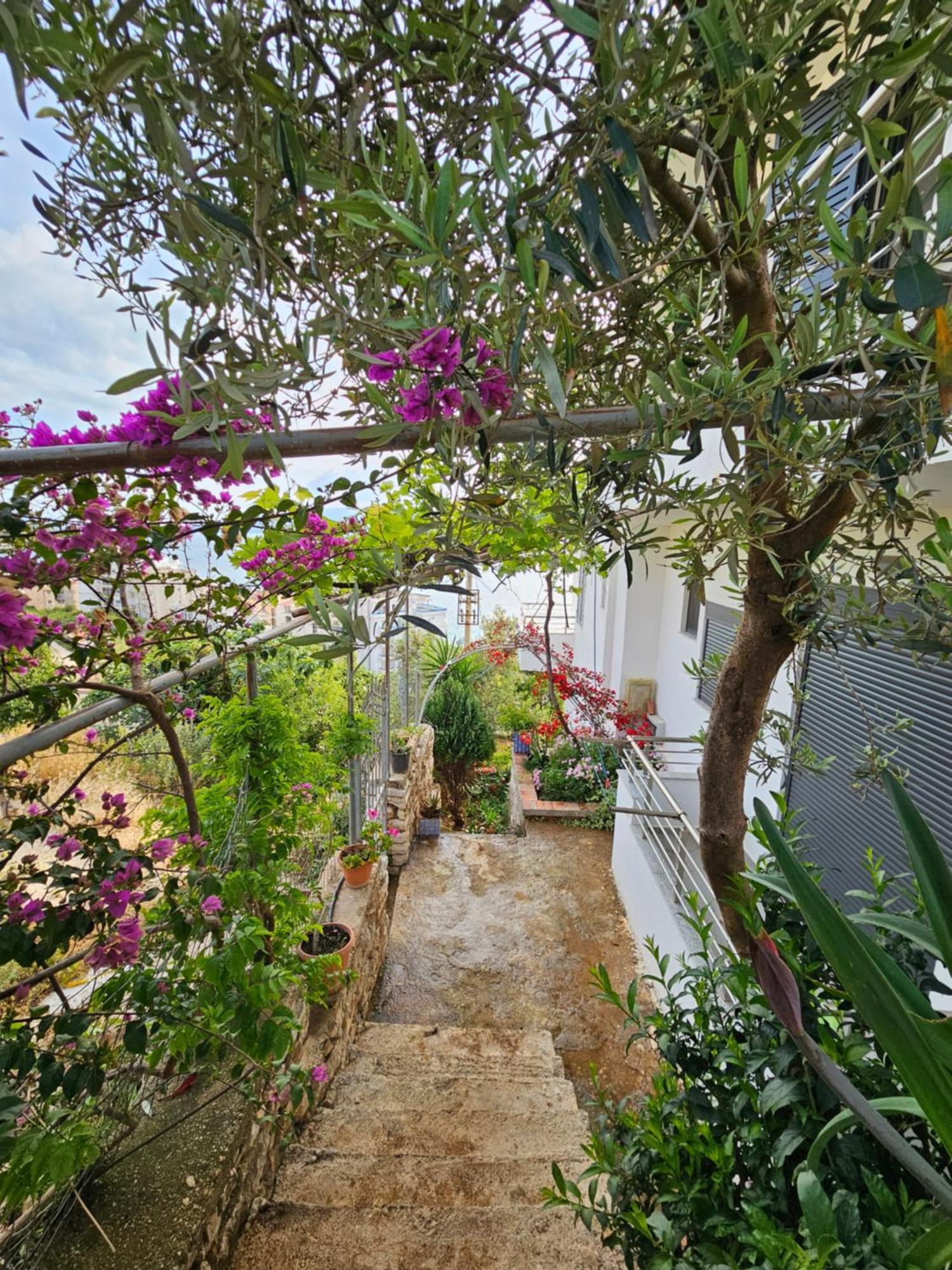 Nora'S Guesthouse Саранда Экстерьер фото